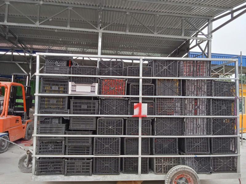 Vì sao thế giới vẫn khó xử lý rác nhựa? Cần phải hành động như nào để xử lý